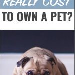 Pinterest pin for How Much Does it Cost to Own a Pet