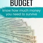 Pinterest pin for How to Create a Bare Bones Budget